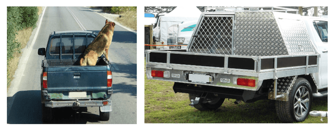This kind of cage is perfect for transporting a dog on a ute.