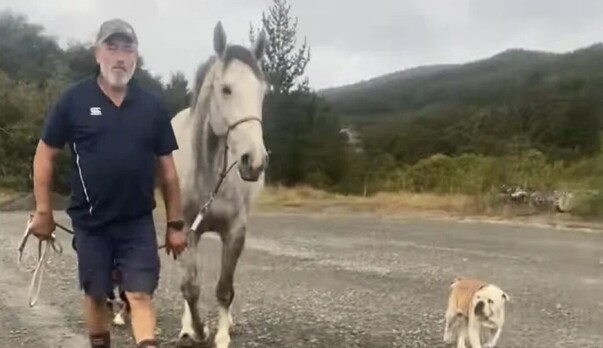 Jim and Sass: a story of loss