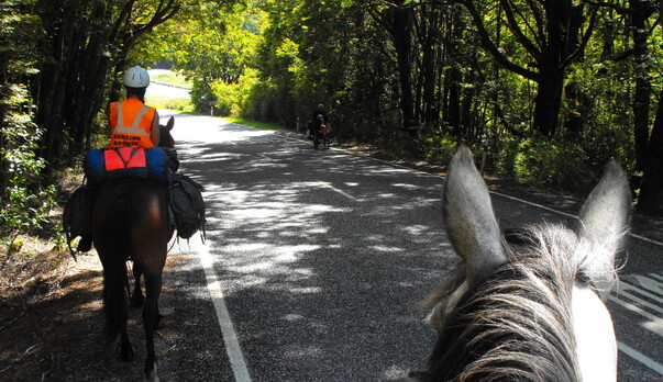 An Appeal from a Cycling Horse Riding Enthusiast to Wear Hi-Vis