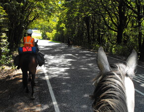 Be Seen. Be Safe.   An Appeal from a Cycling Horse Riding Enthusiast to Wear Hi-Vis