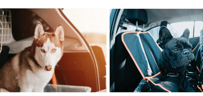 A cage barrier between the boot and rear seats is a good option to stop your dog entering the passenger area. This seat cover is excellent protection for the seat, but not quite good enough for the dog, which should have a harness, too.