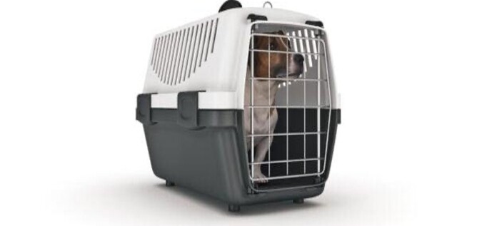 Cages like this should be transported sideways so that the dog isn&rsquo;t forced up against the cage under heavy braking