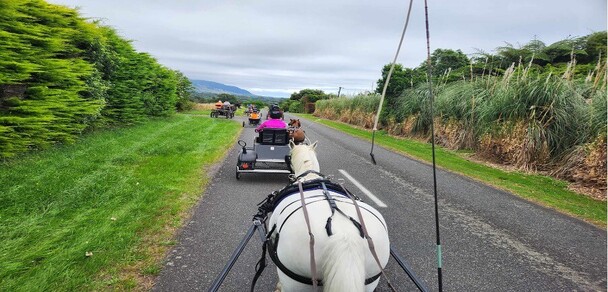 Horse Riders and Carriage Drivers are often forced onto the roads. We all need to be safe, so please ensure you speak up and get involved in local decision making on behalf of vulnerable road users.