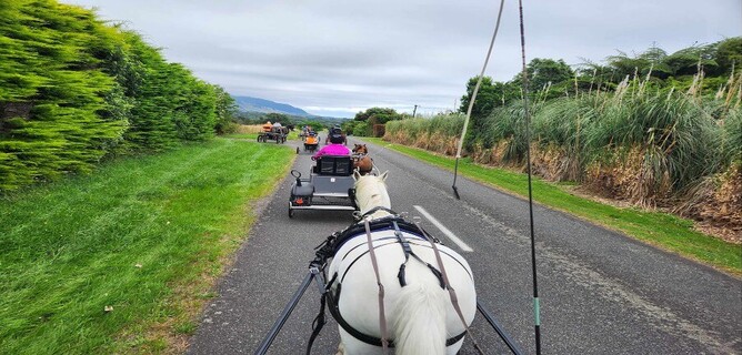 Horse Riders and Carriage Drivers are often forced onto the roads.  We all need to be safe, so please ensure you speak up and get involved in local decision making on behalf of vulnerable road users.