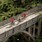 bridge to nowhere