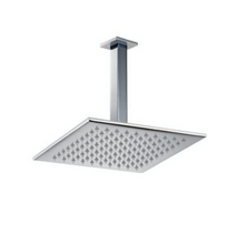 Ceiling Shower Head 250 - 0496