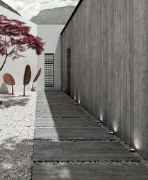 Cement Project