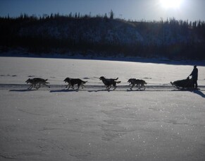 Dog&#039;s First Mantra