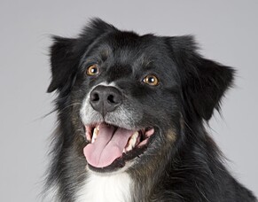 Transitioning To Raw Food