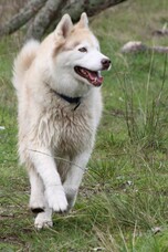 The Tip of the Iceberg.