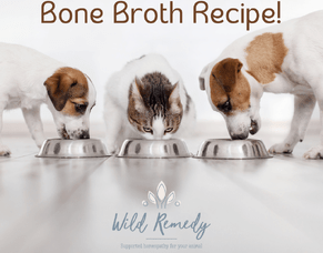 Bone Broth Recipe!