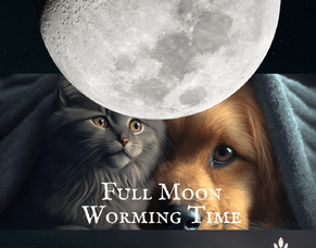 Worming Your Dogs and Pups with Homeopathy