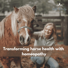 Transforming Horse Health with Homeopathy