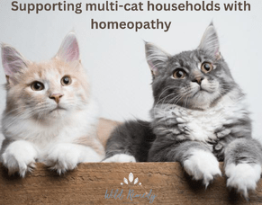 Spraying in Multi-cat Households