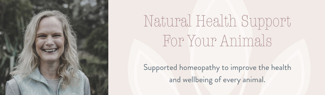Steph – Wild Remedy  – Natural Homeopathy Support For Your Animals – New Zealand