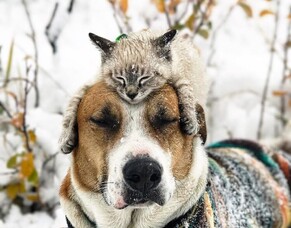 My Winter Wellness Tips!