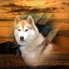 I wanted to give up many many times.