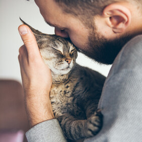 Caring for your pet – Wild Remedy  – Natural Homeopathy Support For Your Animals – New Zealand