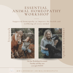 Essential Animal Homeopathy Workshop
