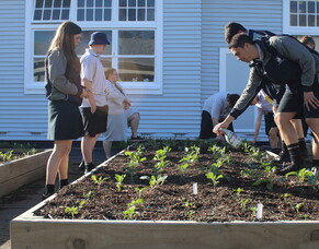 Horticulture Compound Redevelopment