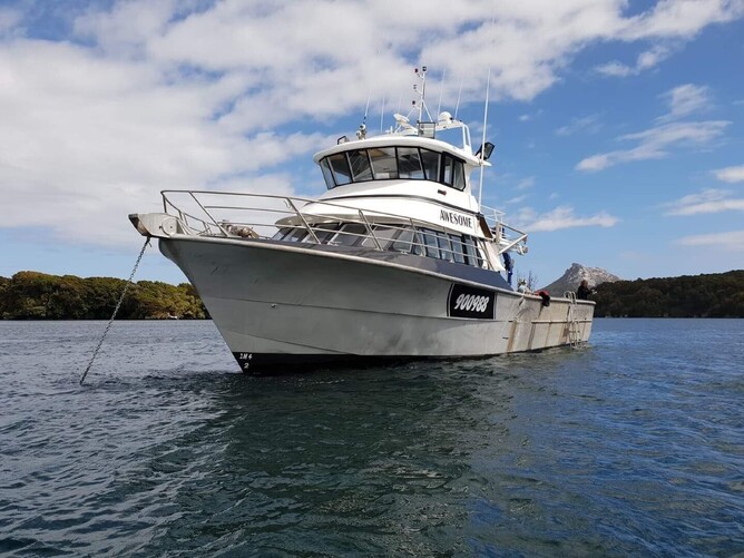 Large white boat anchored offshore.