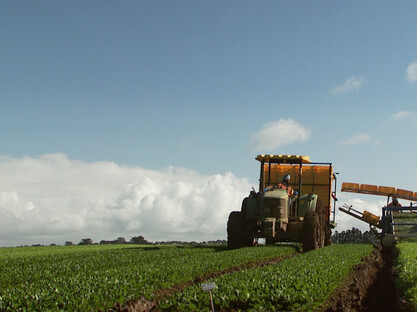 Creation Films Client: Snap Foods