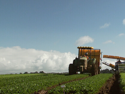 Creation Films Client: Snap Foods