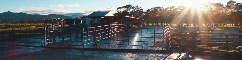 AgriHealth Testimonial "You are in safe hands when you work with Creation Films"