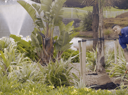 Creation Films Client: Fisher & Paykel Healthcare