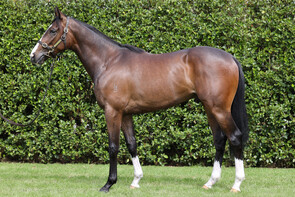 LOT 175 - Time Test – Miss CosimoColtBreeze Up 10.38