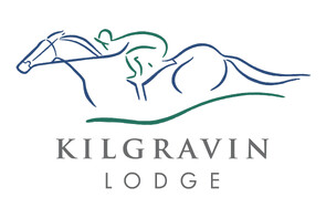 LOT 162 - Darci Brahma – Opito BayGeldingBreeze Up 10.53