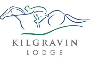 Lot 369 - Nicconi – ChicagoGeldingBreeze Up 11.11