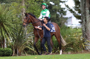 Lot 24 Sweynesse - Post Thyme Filly