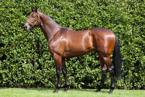 Lot 100 - Kermadec – GalleriesColtBreeze Up 10.42