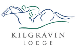 LOT 334 - Sweynesse – ArtemisGeldingBreeze Up 11.07