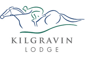 LOT 17 - Tarzino - ElectrostaticGeldingBreeze Up  10.48