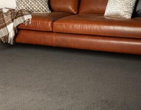 5 Reasons Why You Should Seek Professional Carpet Cleaning