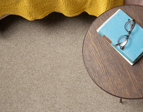 Nylon Carpet: Pros And Cons