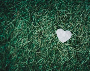 Learning to accept, but not be defined by, my trauma