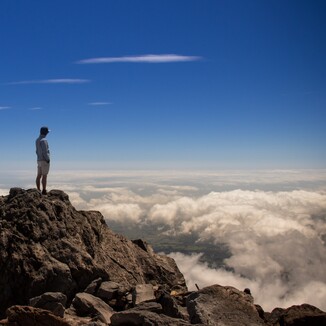 Book Your FREE Discovery Session with Rosemary - BOOK NOW