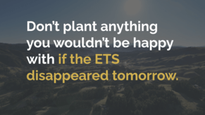 Can Carbon Credits Be Part of the Farm System?