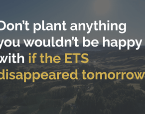 Can Carbon Credits Be Part of the Farm System?