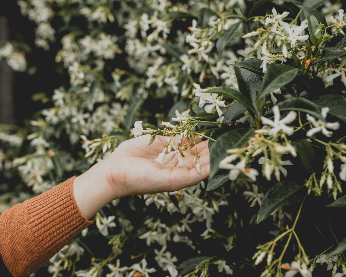 Cambridge Rentals Ltd Cambridge Rentals Ltd Property & Rental