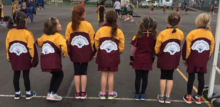 Proud Sponsors of Cambridge Junior Netball