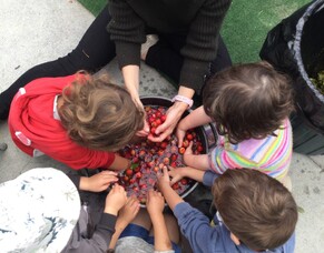 Moera Holiday Kindergarten