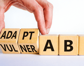 5 Ways to be More Adaptable