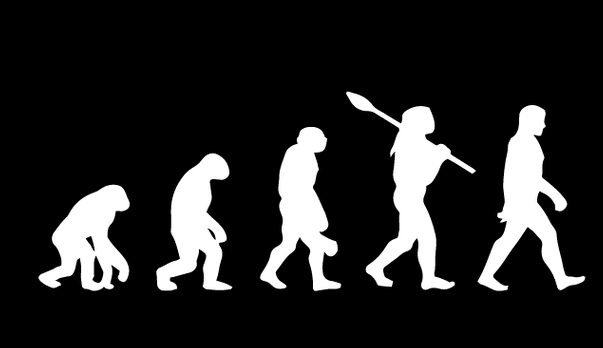 The Science of Adaptability