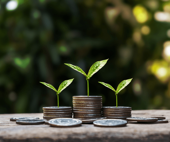 Money growing plant to show effect of PR in economic uncertainty