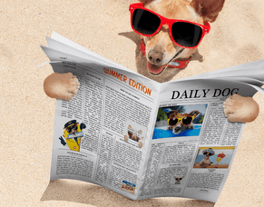 Navigating paid and earned media