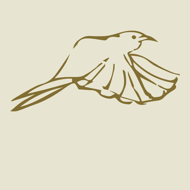 Iti Kopara Public Governance Aotearoa